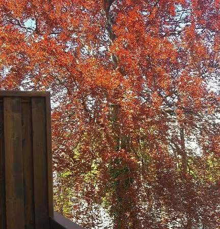 Cozy Victus Walk To The Pier By Renters * Zoppot